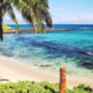 Meet your Posher, Autumn